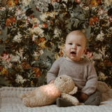 Moonie | Ourson Sable