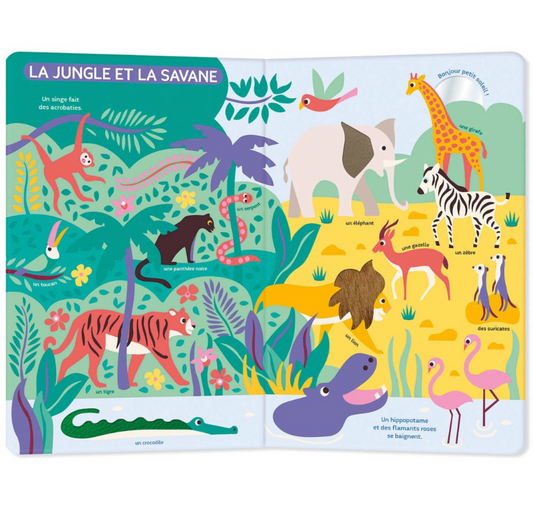 Mon très grand livre d'éveil | Autour du monde