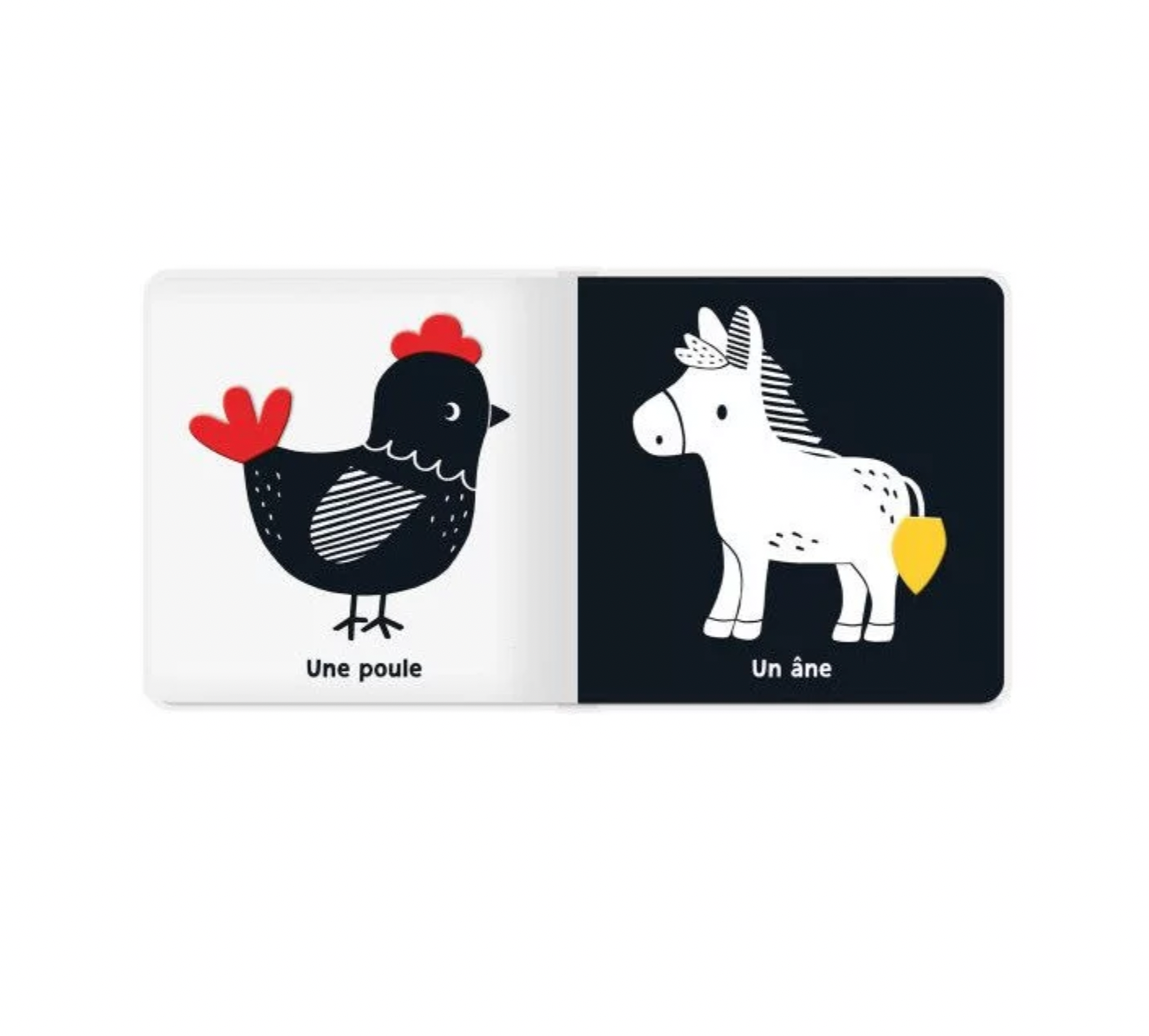 Mes premiers flaps | La ferme