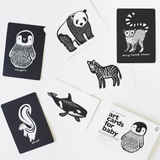 Cartes noir & blanc | Animaux