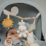 Chaîne d'activité | Miffy Vintage sunny tripes