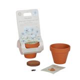 Kit de plantation | Myosotis