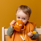 Tasse d'apprentissage | Renard