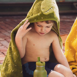Gourde | Dino