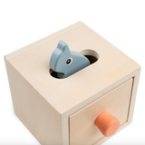 Boîte cache-cache