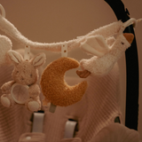 Chaîne d'activité | Newborn Neutrals
