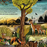 Livre | Dans la forêt secrète