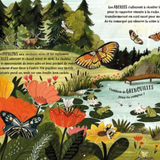 Livre | Dans la forêt secrète