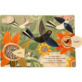 Livre | Petit oiseau prend son envol