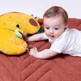 Coussin d'activités | Lion