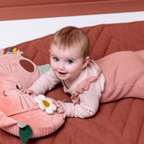 Coussin d'activités | Chat