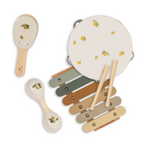 Valisette d'instruments | Citrons