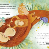 Livre | Une jalousie d'orang-outan