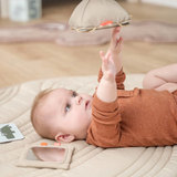 Support de cartes contrastées