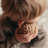 Squishymals | Hérisson