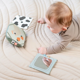 Support de cartes contrastées | Vert