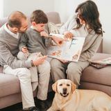 Livre | L'alphabet de l'amour