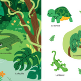 Livre | Mes 100 mots tout en couleurs