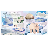 Livre | Les couleurs de la nature