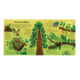 Livre | Les couleurs de la nature