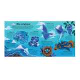 Livre | Les couleurs de la nature