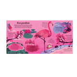 Livre | Les couleurs de la nature