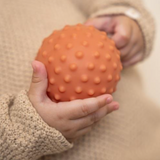 Set de 3 balles sensorielles | Little Farm