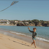 Cerf-volant | Ocean World