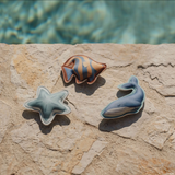 Compagnons de plongée | Ocean World