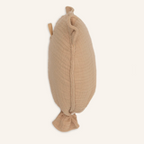 Ballon Teddy Bear | Biscuit