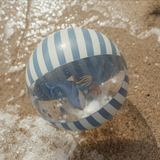 Ballon de plage | Ocean World