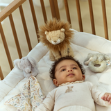 Coffret naissance | Safari Friends