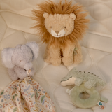 Coffret naissance | Safari Friends
