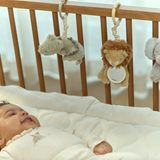 Set de 3 jouets pour arche d'éveil | Safari Friends