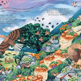 Livre | Dans les montagnes secrètes