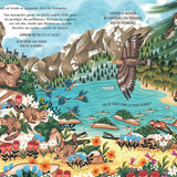 Livre | Dans les montagnes secrètes