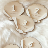 Cartes étape | Coquillage