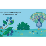 Livre | Glisse et découvre les couleurs