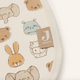 Lot de 5 bavoirs | Jollies
