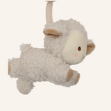 Spirale d'activités | Woolly