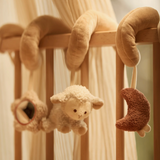 Spirale d'activités | Woolly