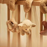 Spirale d'activités | Woolly