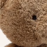 Peluche | Ours