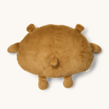 Peluche | Oreiller ourson
