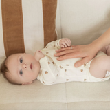 Lot de 2 body | Oursons