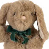 Lapin interactif | Parle & Danse