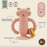 Jouet à ventouse | Chat