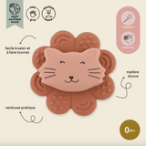 Jouet spinner | Chat