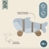 Jouet à tirer ondulant | Requin