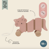 Jouet à tirer ondulant | Chat